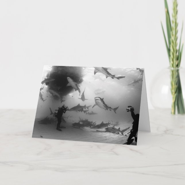 Cartão Notecard do tubarão do tigre & de limão (Frente)