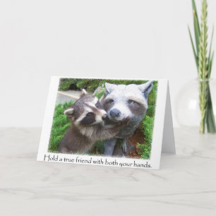 Cartão Notecard dos amigos do Raccoon