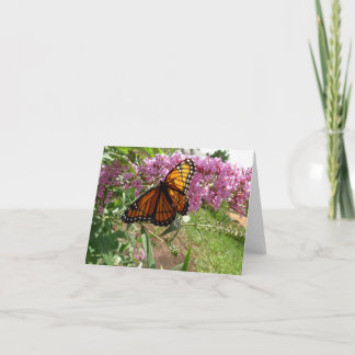 Cartão Notecard dos Jardins do Novo Dia - Borboleta Vicer