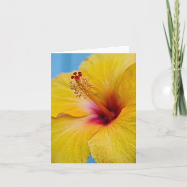 Cartão Notecard Flor de Hibisco Amarelo (Frente)
