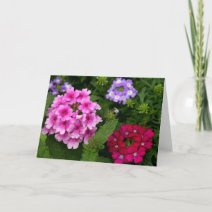 Cartão Notecard Flowers