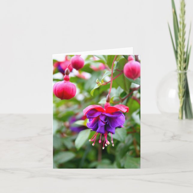 Cartão Notecard Fuschia (Frente)
