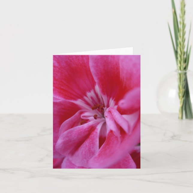 Cartão Notecard geranium rosa (Frente)