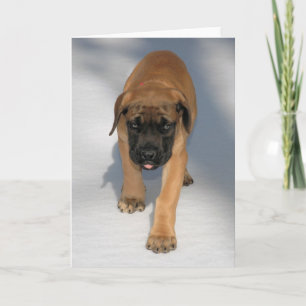 Cartão Notecard inglês do filhote de cachorro do Mastiff