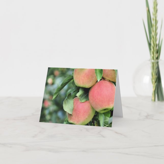 Cartão Notecard - Maçãs (Frente)