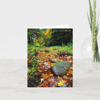 Cartão Notecard: Matar de Alplaus, Charlton, NY