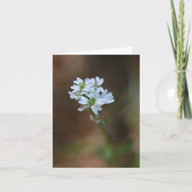 Cartão Notecard Pequenas Flores Brancas (Frente)