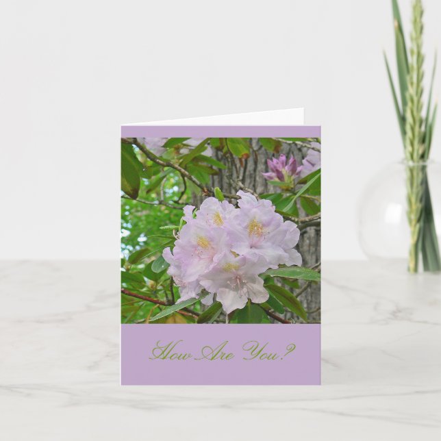 CARTÃO NOTECARD, "RHODODENDRON DE LAVANDA PALE MACA" (Frente)