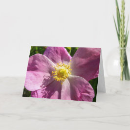 Cartão Notecard Rosa selvagem
