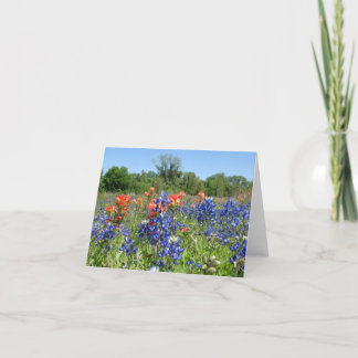 Cartão Notecard Texas Bluebonnet & Paintbrush