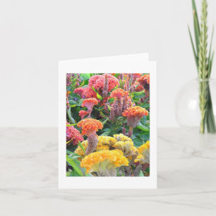 CARTÃO NOTECARD/VAZIO "AMARELO, SALMÃO E CELOSIA DE LARAN