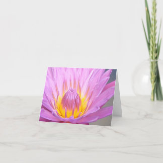 Cartão Notecard Waterlily Rosa