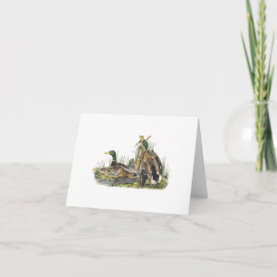 Cartão Notecard with Mallard Duck Nest