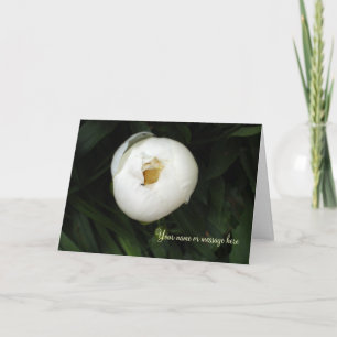 Cartão Notecards brancos