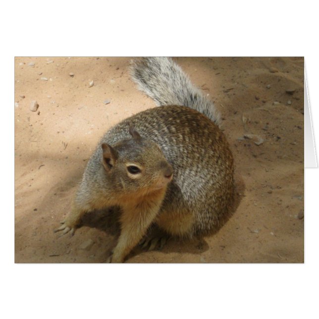 Cartão ~Nova Cara de Felpudo do Zion~ (Frente Horizontal)