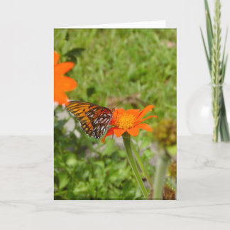 Cartão Nova placa de início