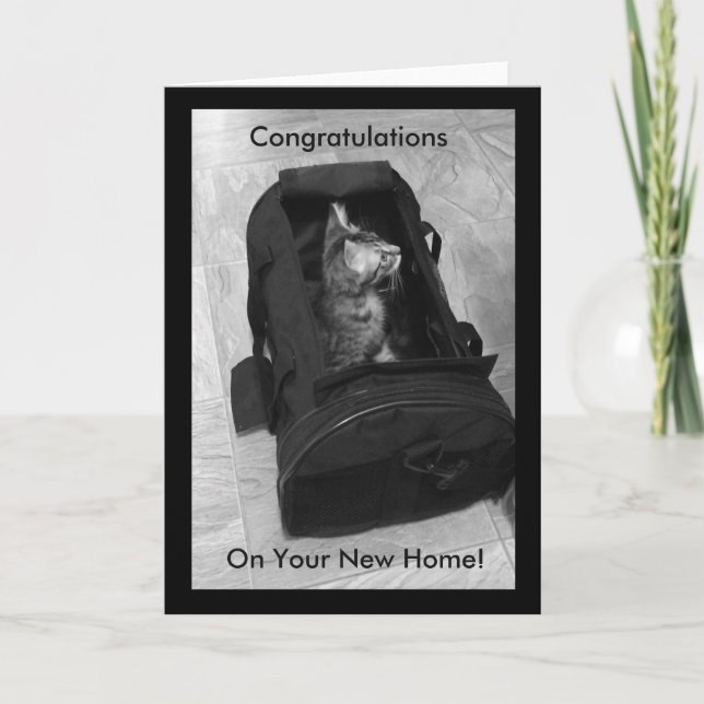 Cartão Nova placa doméstica (Frente)