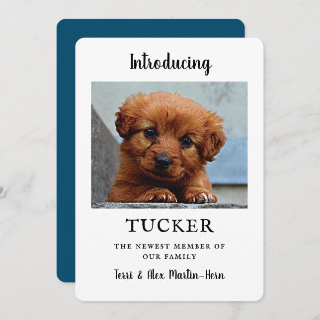 Cartão Nova placa plana de lançamento de fotos Pet (Frente/Verso)