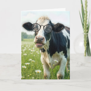 Cartão Nova Vaca Holstein