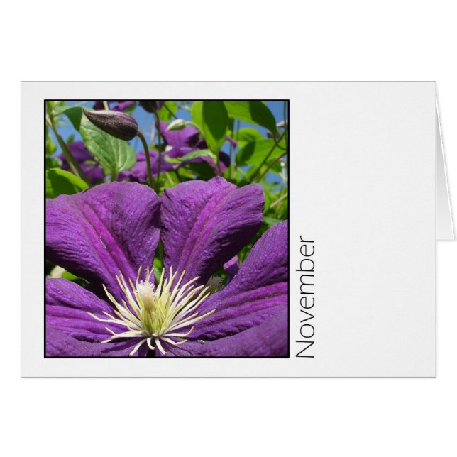 Cartão Novembro (Frente Horizontal)