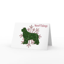 Novidades da Largura