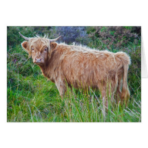 Cartão novo da vaca das montanhas