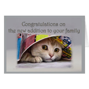 Cartão Novo Endereço de Cat para a Família