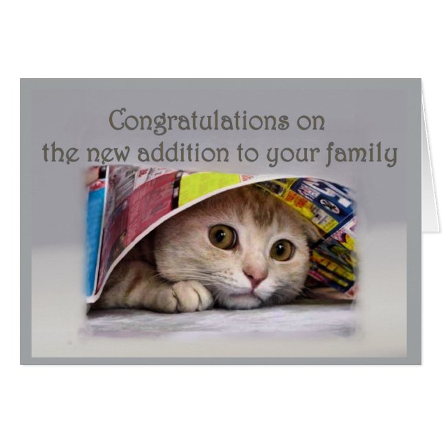 Cartão Novo Endereço de Cat para a Família (Frente Horizontal)