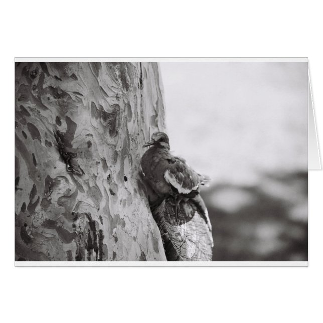 Cartão Novo Nascer (Frente Horizontal)