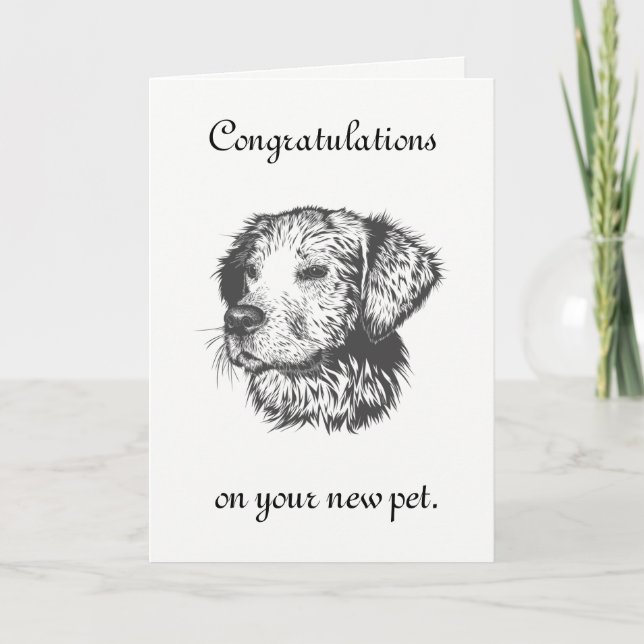 Cartão Novo Pet (Frente)