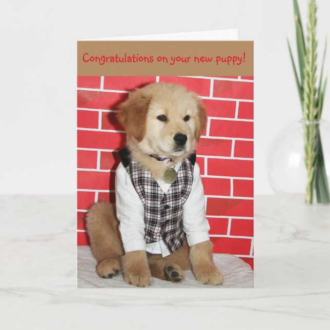 Cartão Novo Puppy do ouro (Frente)