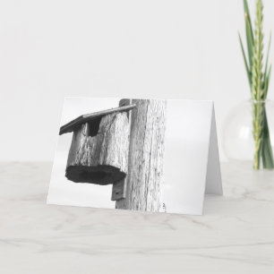 Cartão Novos Parabéns