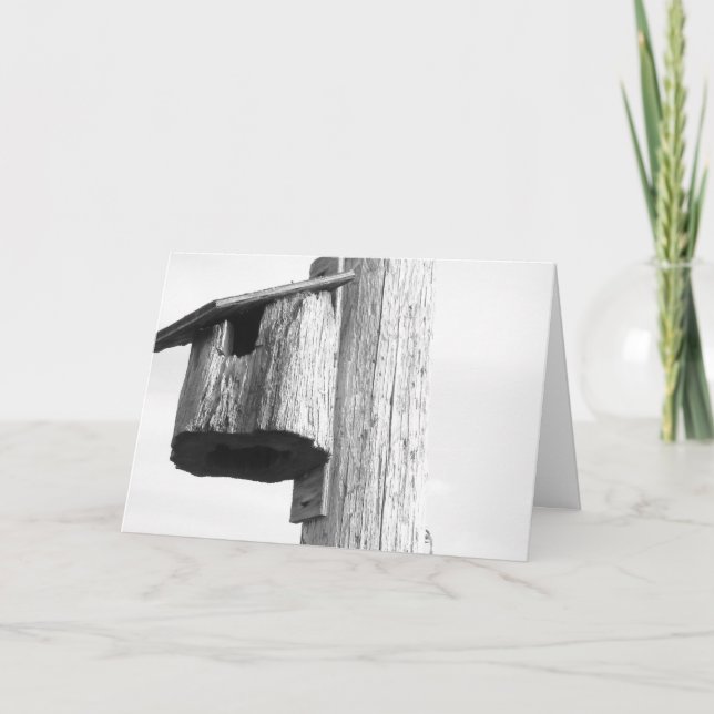 Cartão Novos Parabéns (Frente)