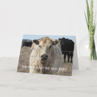 Novos Parabéns de Bebê - Bovinos - Oeste