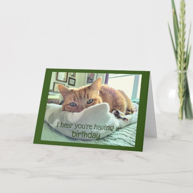 Cartão Nozes de Gato de Aniversário (Frente)