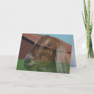 Cartão Nubian Doe Vision Sympathy Card or any occasion