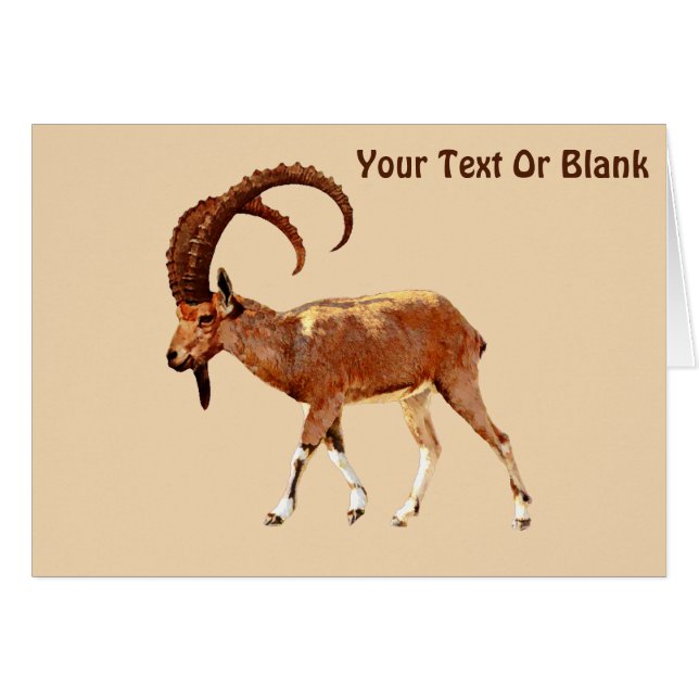 Cartão Nubian Ibex - Ein Gedi (Frente Horizontal)