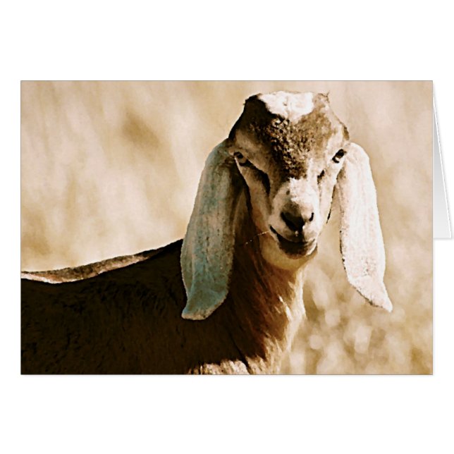 Cartão Nubiano (Frente Horizontal)