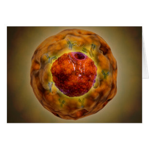 Cartão Núcleo Celular Com Cromossoma 3