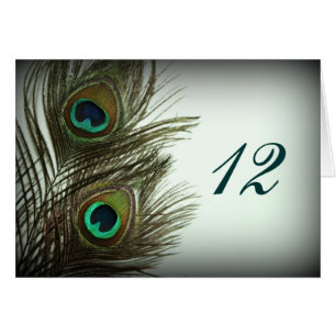 Cartão Números de Tabela de pena de peacock