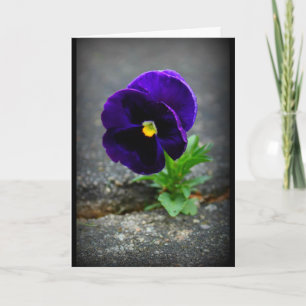 Cartão Nunca Desista!