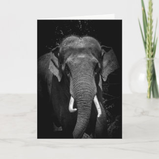 Cartão Nunca esqueça um aniversário