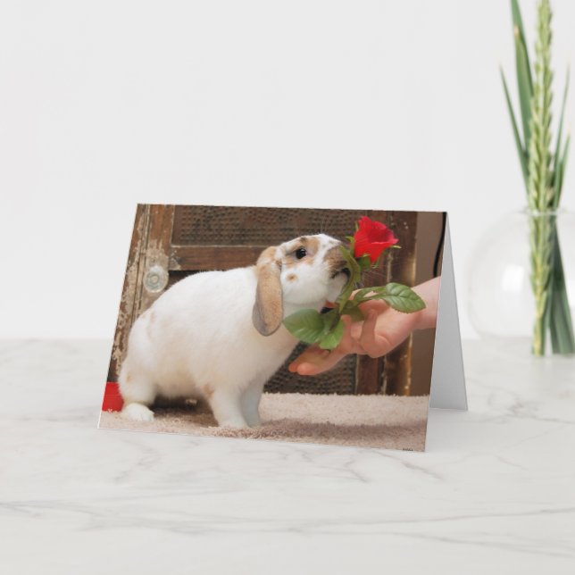 Cartão Nunca Perdido (Frente)