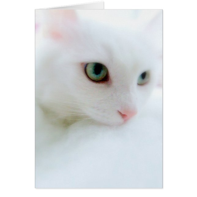 Cartão Nuvens Suaves (Frente)