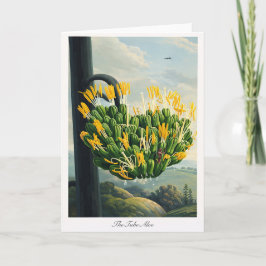 Cartão O Aloe Tubo — Reinterpretação Botânica Moderna