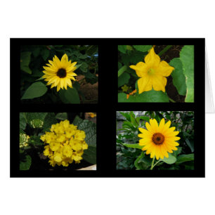 Cartão O amarelo floresce a coleção
