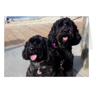 Cartão O amor carda para sempre