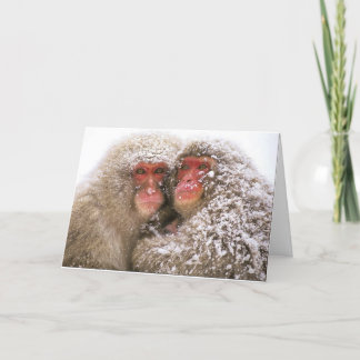 Cartão o amor conquista tudo