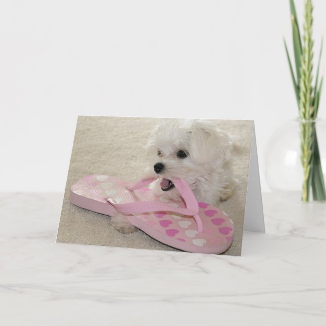 Cartão O amor dos calçados (Frente)