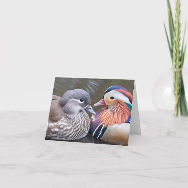 Cartão O "amor Ducks" Notecard (Frente)